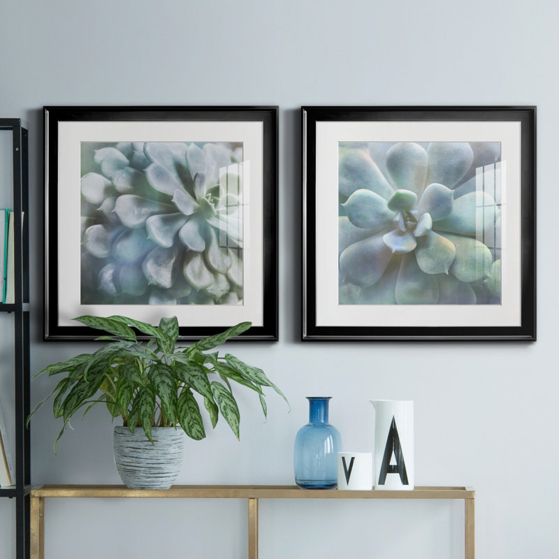 Soft Succulent I - ensemble de 2 reproductions de cadres photo, H 17,5 po x l 35 po x P 1,5 po, Noir