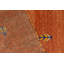 Moroccan Hand-Knotted Wool Area Rug in Rust/Blue/Yellow