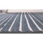Bayshore Coastal Starfish Striped Area Rug-222211076