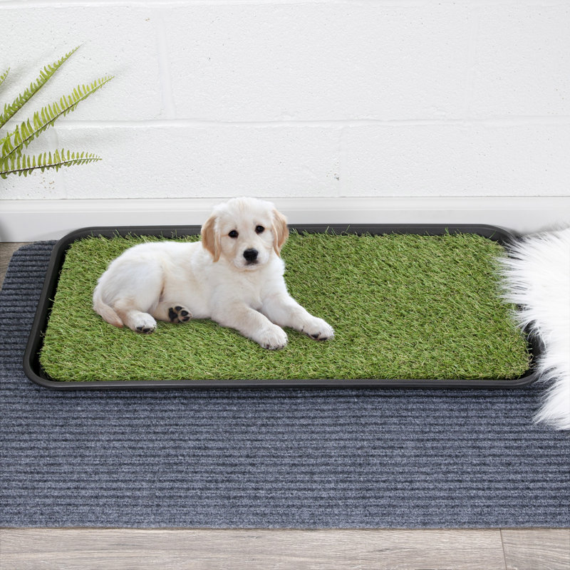 Small Black Rubber and Polypropylene Pet Training Pad