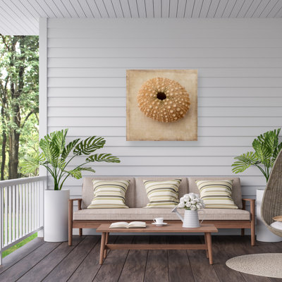 Toile d'extérieur Athene Judy Stalus «Sepia Shell III»