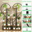 Plant Stand - Set of 7