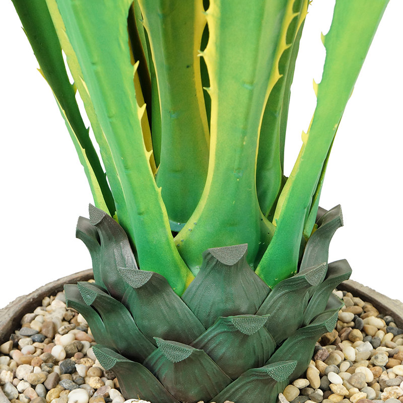 Agave d'intérieur / extérieur 54 po Panama