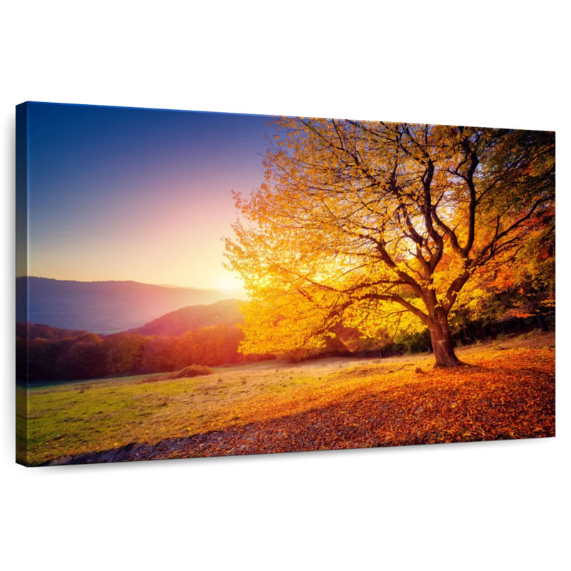 Harnek Hillside Beech Tree, 34" H x 51" W
