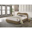 Magnifique lit pour grand lit 1pc avec design incurvé et velours brun-1793134734-1793134735