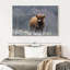 Vache Highland Brampt-108816133