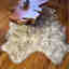 Photos des clients 1 de 2