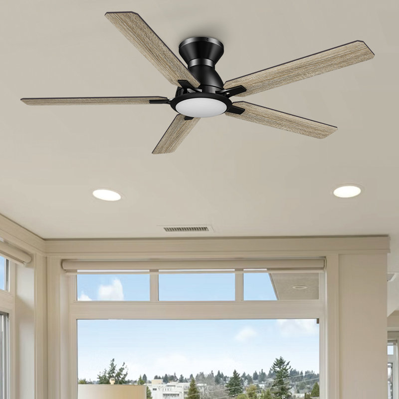 Ventilateur de plafond intelligent 52 "avec lumière, Noir, Noir