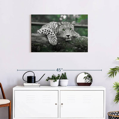 Green Eyed Jaguar