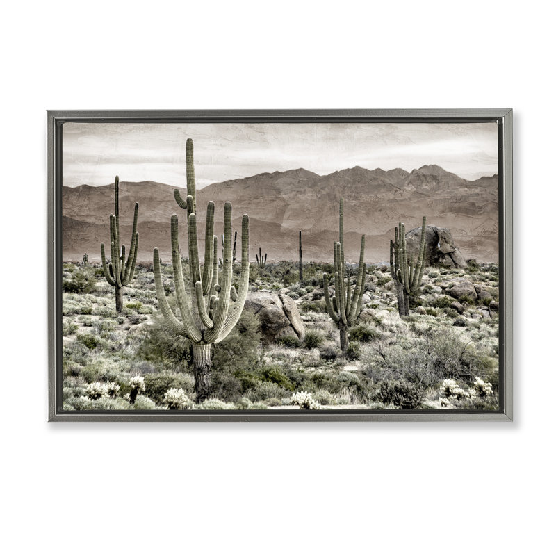 Cadre flottant Desert Land Cacti Wilderness, design par Kim Allen, H 21 po x l 31 po, Cadre flottant gris lustré