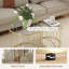 Alazhia Glass Top Nesting Tables