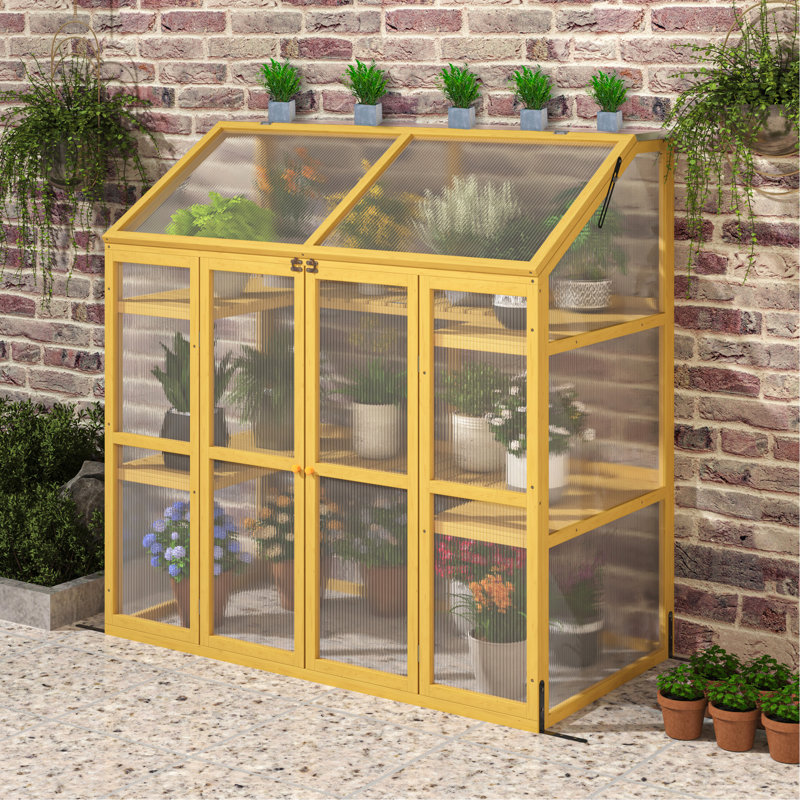Spacious Plant Greenhouse With Partition - Maximize Space Utilization Practical Wooden Growth Potential