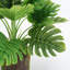 32cm Faux Philodendron Plant in Planter