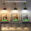 Swing Arm Sconce