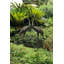 Statue de jardin grue debout qui se lisse 2 pièces