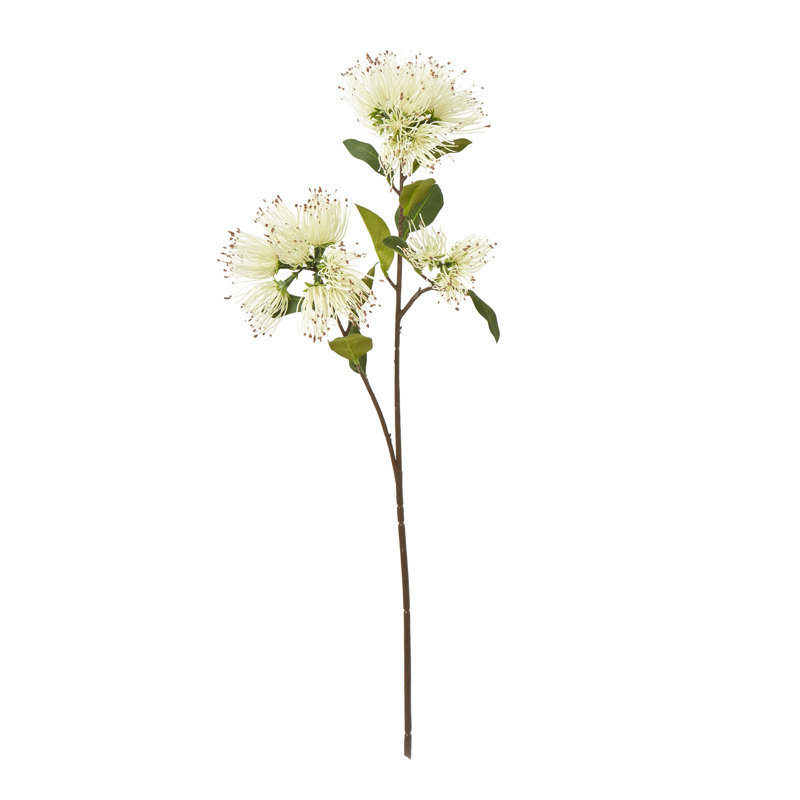 Anastasija Arrangement, 65 cm H x 10 cm W x 10 cm D