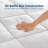All Season Goose Feather and Down Duvet insert Cotton Shell Comforter-1369340500
