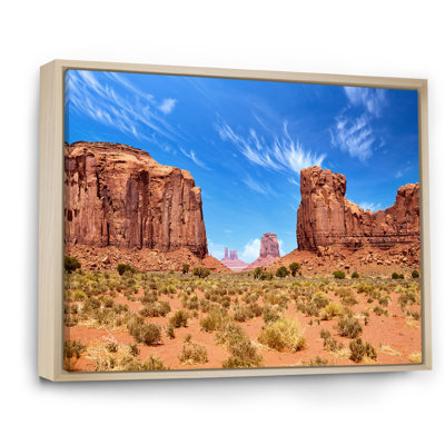 " Arizona Sonoran Serenade Desert I "