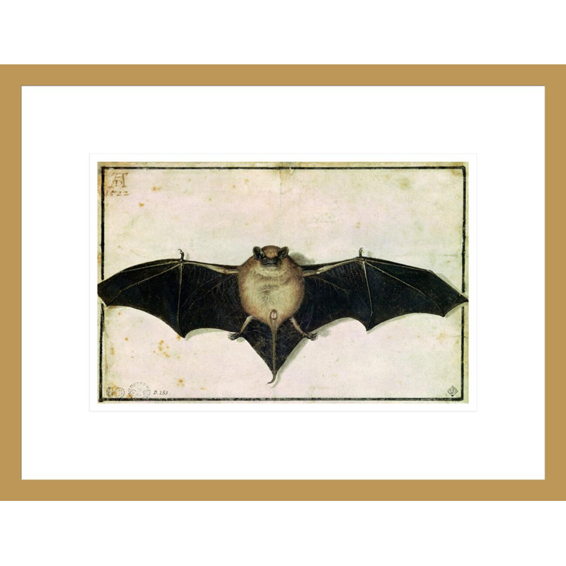 Chauve-souris par Albrecht Dürer - Impression sur toile, H 12,91 po x l 16,75 po