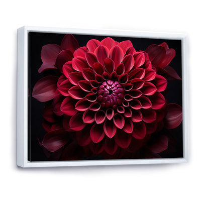 Majestic red dahlia - imprimé
