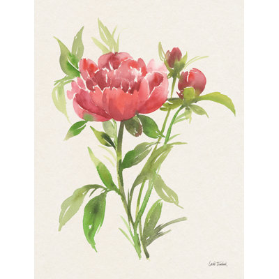 " Peony I " by Leslie Trimbach