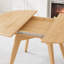 Table de salle à manger extensible Abhinav-1496706101