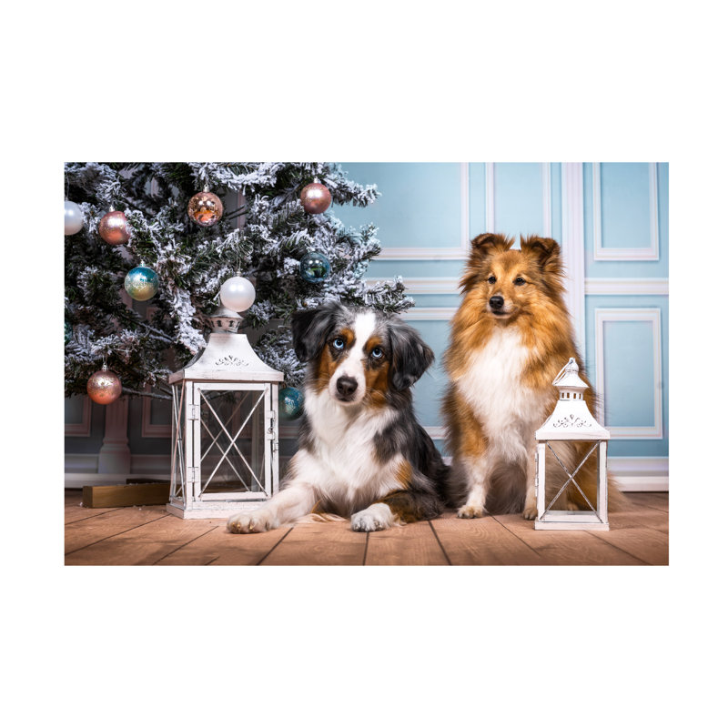 «Natalie Grosse Christmas Pups», art sur toile, H 12 po x l 19 po