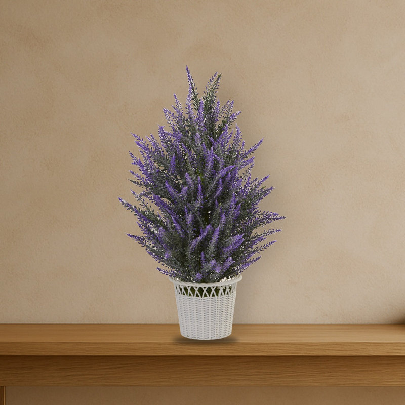 Lavande dans un pot à fleurs blanc