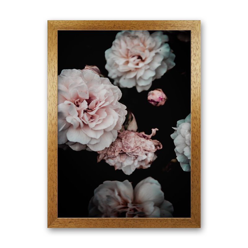 Crisp Pink 1 Piece Wall Art, 63cm H x 46cm W x 3cm D, Oak Framed