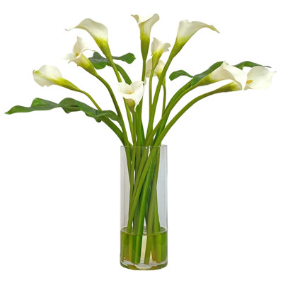 Calla Lily In A Cylinder