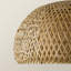 Cogdell 1-Light Dome Globe Lamp Shade