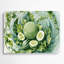 Art mural en métal vert légumes Melon-1629307934