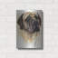 "Mastiff" par Barbara Keith-2040042920