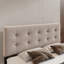 Lit plateforme tapissier-1496516903