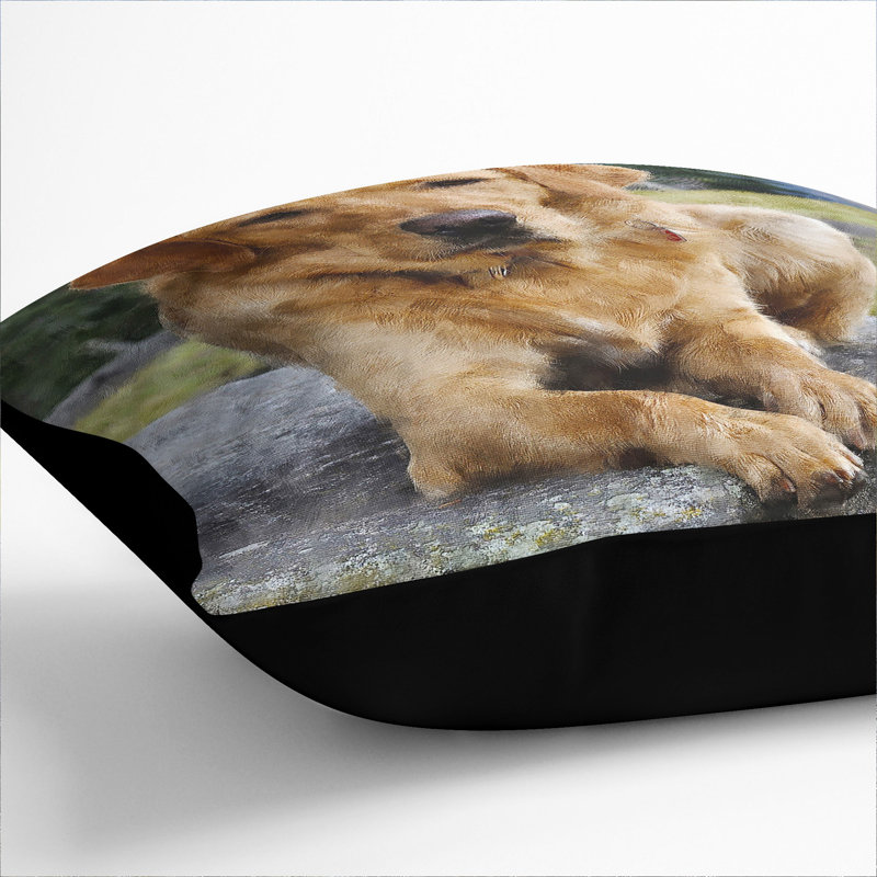 Square Cushion, 55cm H x 55cm W x 20cm D, Black