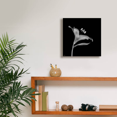  'Lily 2' by Life BeautifuLEE Canvas Wall Art, 12" x 12"