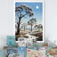 Baobab africain dans la nuit - Reproduction d'art mural arbre baobab-97170677-97170678