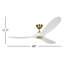 Maverick Downrod Ceiling Fan-12179903-101197725