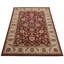 Oriental Area Rug-1612120057