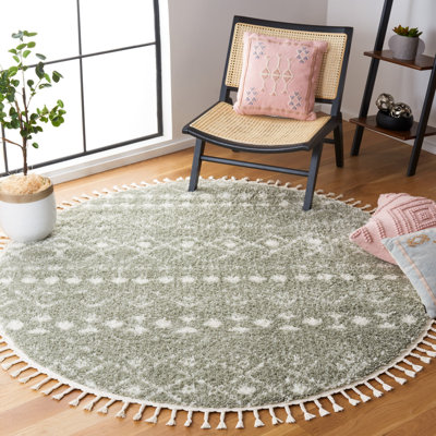 Akiesha Fringe Shag Performance Southwestern Rug