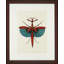 Tropical Insect III Print