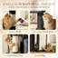Pouces pour chat et arbres à chat, tour moderne en peluche pour 1 à 3 chats