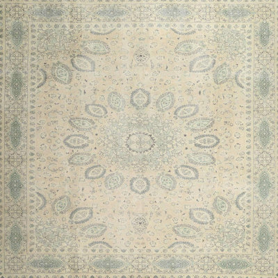 Oriental Indoor Rug