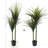 59.06 " H Faux Dracaena Tree