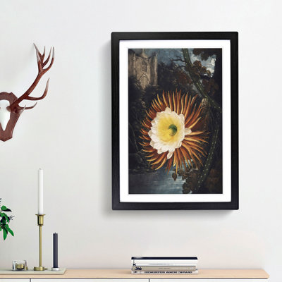 Blooming Cacti by R.J. Thornton - Picture Frame Painting Print