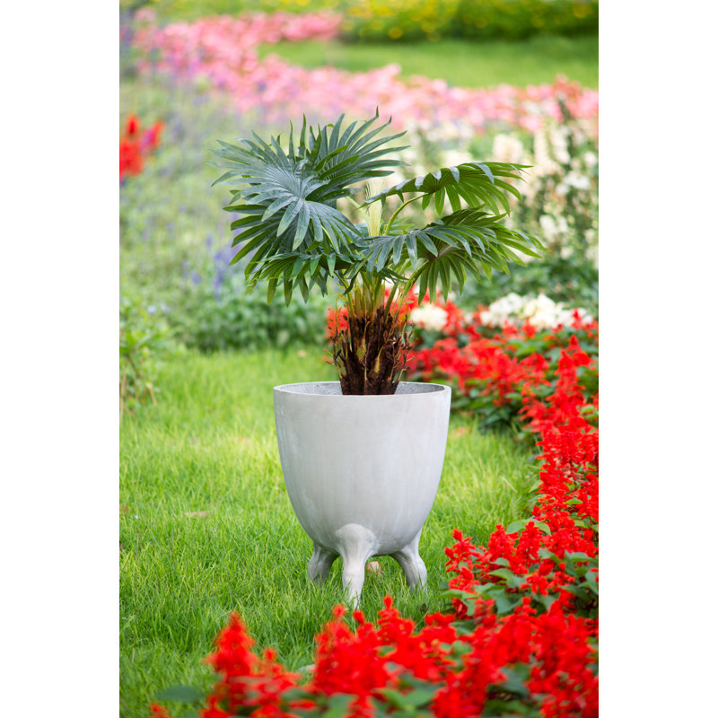 Devpal Statue Planter