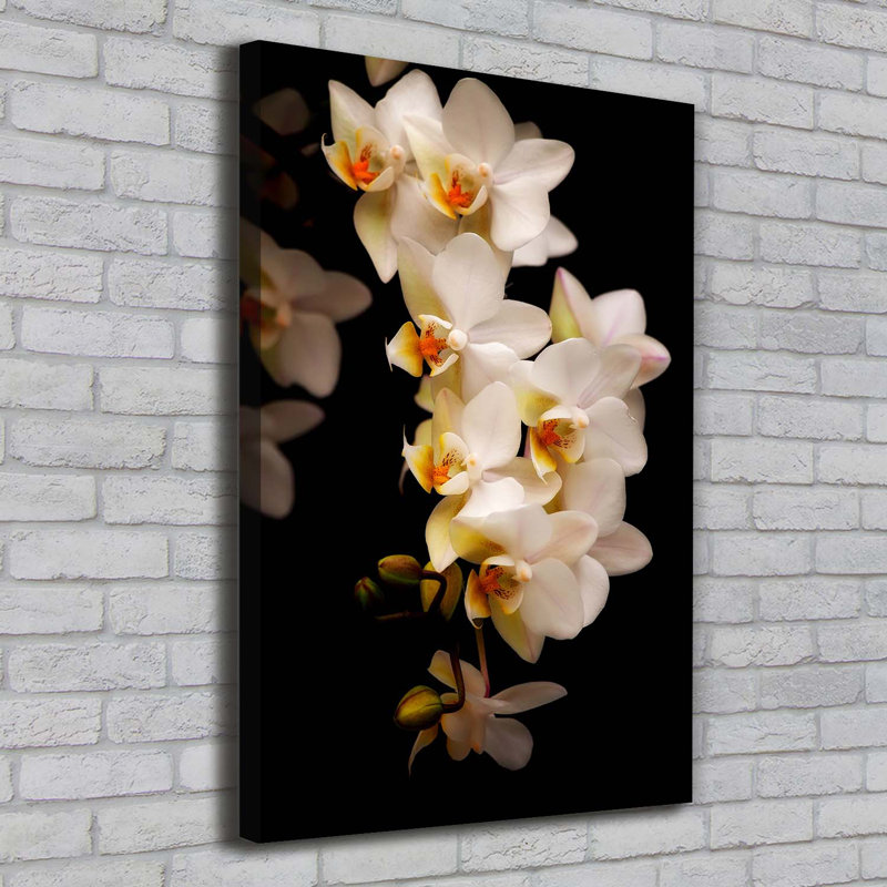 Orchid - Wrapped Canvas Print