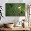 Brampt Three Hummingbirds-107844648