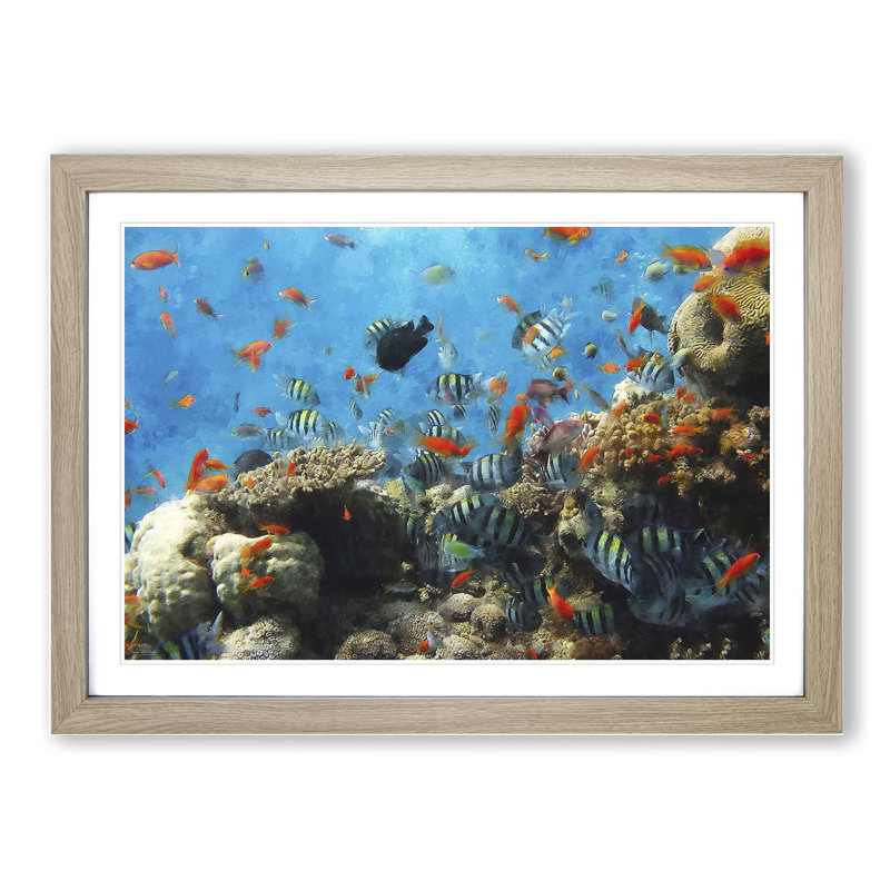Coral Reef and Fish Vol.2 - Picture Frame Graphic Art, 27cm H x 36cm W x 2cm D, Oak Framed