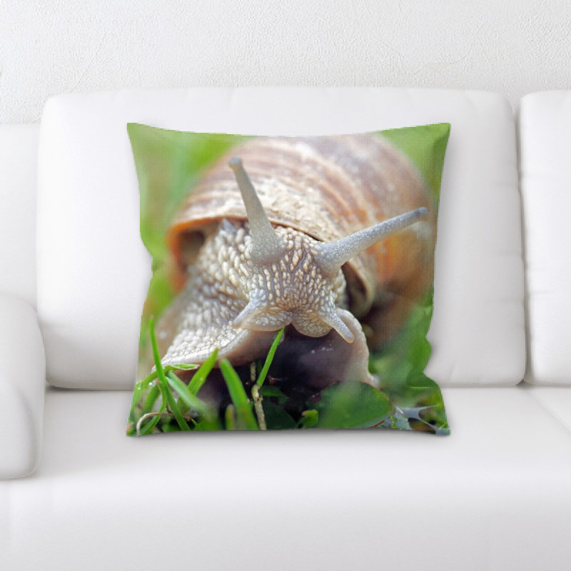 Coussin de l’escargot